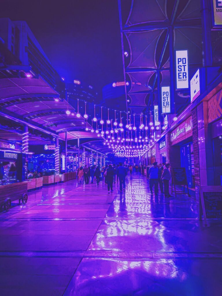 Why Delhi is the Best State to Live in India